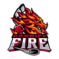 Fire Hockey Sticker by Cardiff Fire