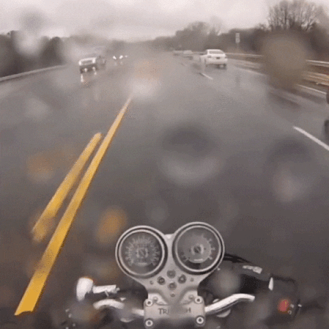 joovitorbraguinmarangoni giphyupload GIF