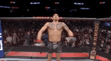 Anthony Pettis Sport GIF by UFC