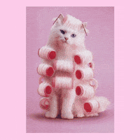 GIF by LADYBIRD