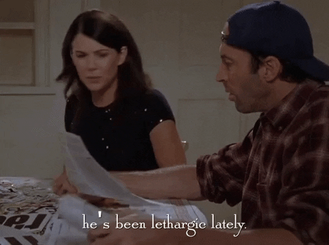 season 6 netflix GIF by Gilmore Girls 