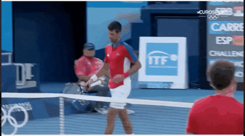 GoTennis giphyupload GIF