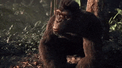 Adventure Of A Lifetime GIF by Coldplay