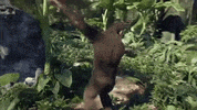 Adventure Of A Lifetime GIF by Coldplay