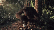 Adventure Of A Lifetime GIF by Coldplay
