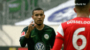 football soccer GIF by VfL Wolfsburg