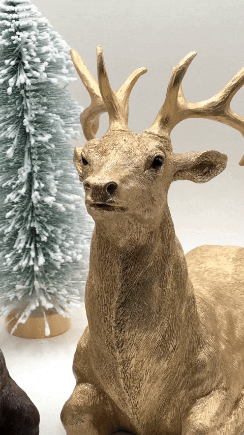 angiebonilla658093ecde414a79ae74fc2651897176 giphyupload GIF