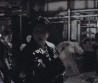 Skz Doit GIF