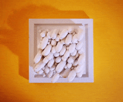 stop motion animation GIF by dylanreitz