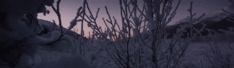 alaska GIF