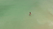 Girl Summer GIF by DEEPSYSTEM