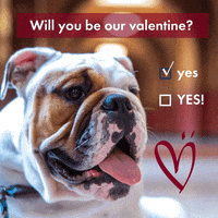 georgetownalumni  GIF