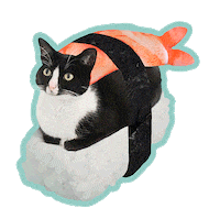 Cat Sticker