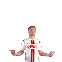 Celebrate 1 Fc Cologne Sticker by 1. FC Köln