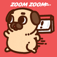 GIF by Puglie Pug