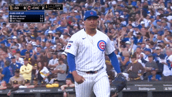 Celebrate Chicago Cubs GIF by MLB