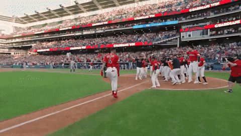 Celebrate Home Run GIF by MLB