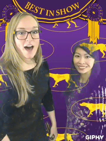 wkcdogshow GIF by Westminster Kennel Club