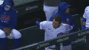 Cubs Rizzo GIF by Marquee Sports Network