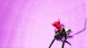 Flying Matthew Dear GIF by rolfes