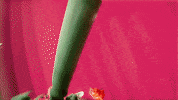 Matthew Dear Wtf GIF by rolfes