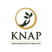knapsolucoes agronegocio contabilidade knapsolucoes Sticker