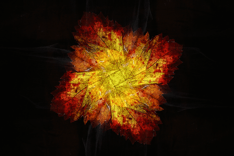 monastrell rotaciÃ³n GIF