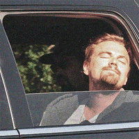 leonardo dicaprio car GIF by Josh Rigling