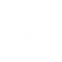 Line Flor Sticker by MM DESIGNER