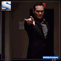 Shieldnosony GIF by Sony Channel BR