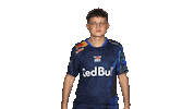 Wipe Rb Leipzig Sticker by Bundesliga