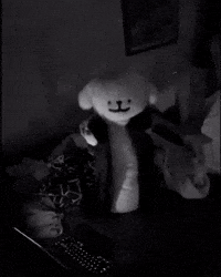 Dog Puppy GIF