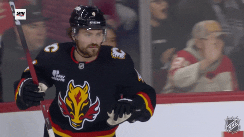 Calgary Flames No GIF by NHL