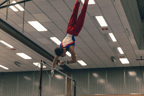 ktvkoblenz giphyupload hit gymnastics dutchman GIF