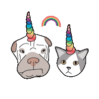 Paddy Caticorn Sticker