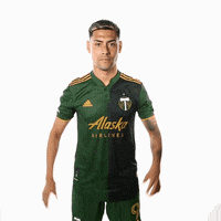 Portland Timbers Soccer GIF by Timbers