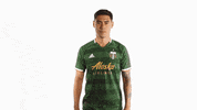 Portland Timbers Game Face GIF by Timbers