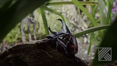 Spring Love GIF by HORNBACH