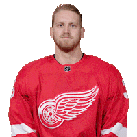 Ice Hockey Thumbs Up Sticker by Detroit Red Wings