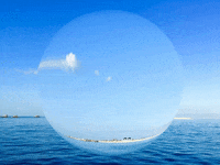You Can Wow GIF by FranchiseONE.de