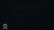 GIF by Dolphin Discovery