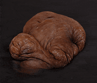 Zombie Walking Bread GIF by Alex Boya