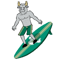 Summer Beach Sticker by University of South Florida