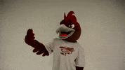 Rcnj Ramapocollege GIF by Ramapo College of New Jersey