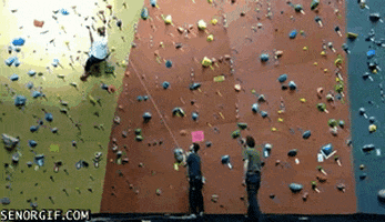 fall fail GIF by Cheezburger