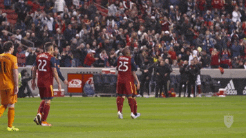 rslmarketing soccer futbol mls major league soccer GIF