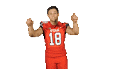 Utah Utes Sticker by Utah Football