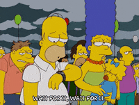 homer simpson GIF