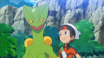 Alpha Sapphire GIF by Pokémon