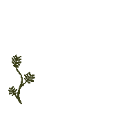 Flower Winter Sticker